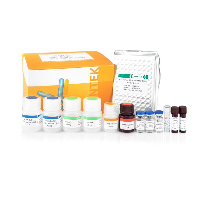 Menschliches IFN-γ ELISA-Kit