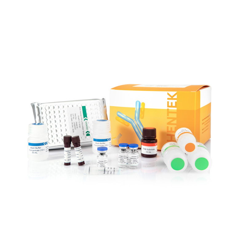 Menschliches IFN-γ ELISA-Kit