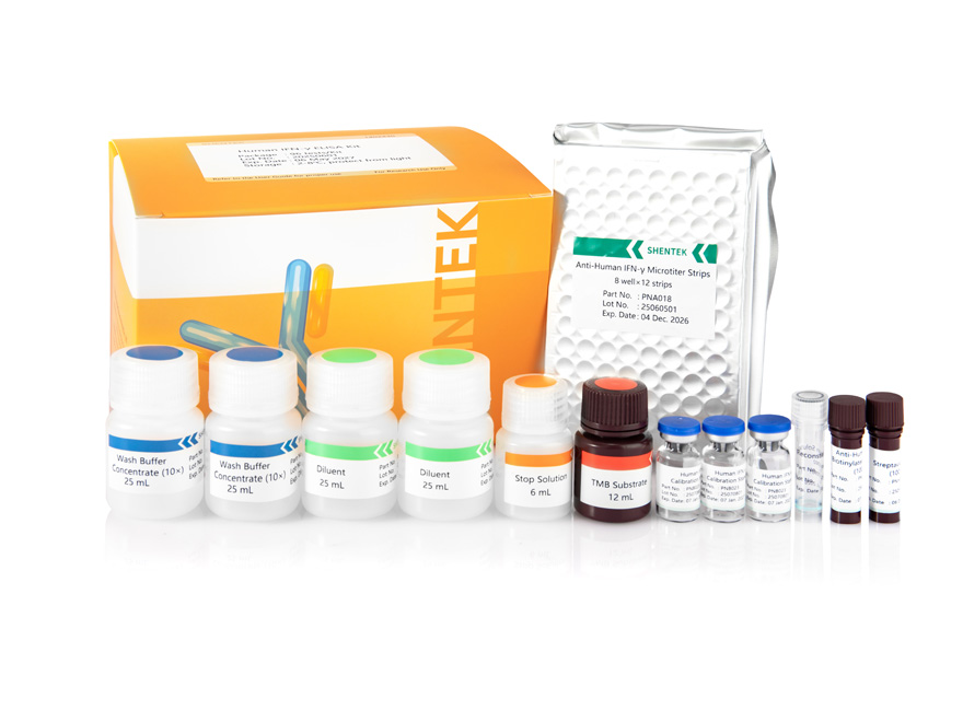 Menschliches IFN-γ ELISA-Kit
