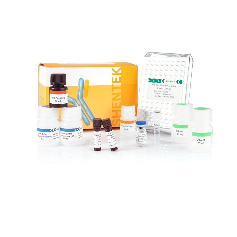 Menschliches IL-6 ELISA Kit