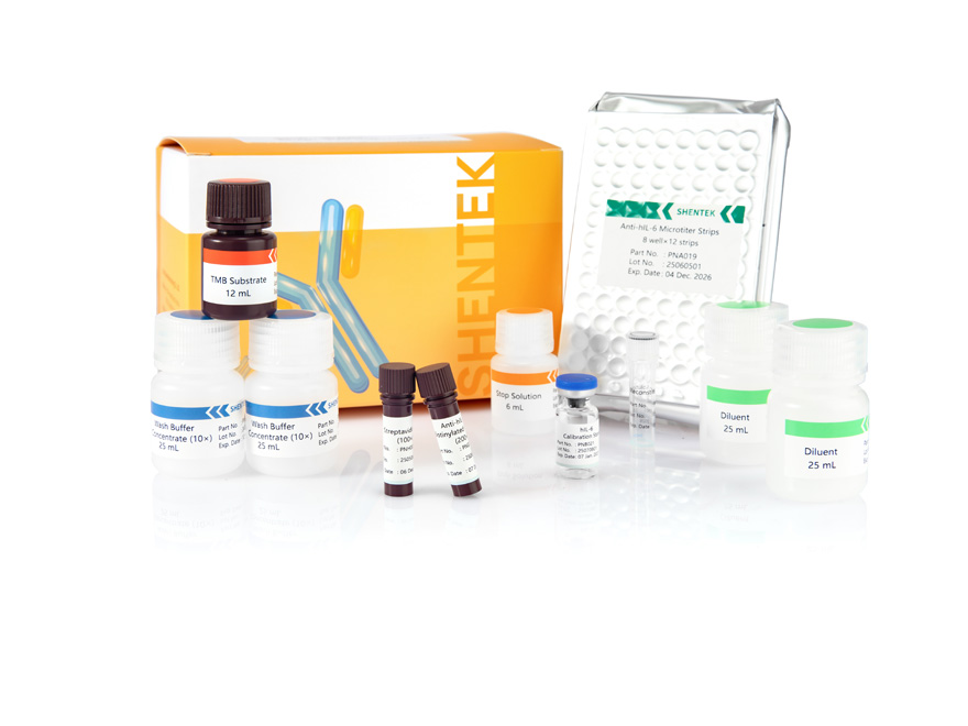 Menschliches IL-6 ELISA Kit